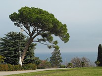 Jalta