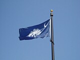 South Carolina flag