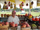 Peaches in South Carolina