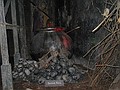 "Boiled Alive" in London Dungeon