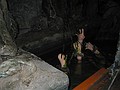 Hands in water