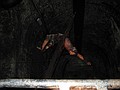 An impaled man