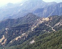 Sequoia NP