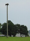 The Whalehead Club