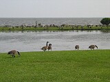 The Whalehead Club