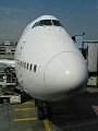 In Frankfurt