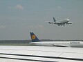 In Frankfurt