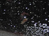 From the night skiing
