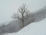 Mountains under the snow